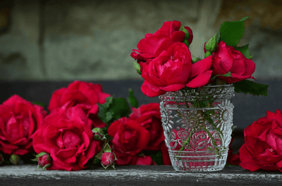 Sending A Bouquet of Roses? Here’s What Their Color Mean