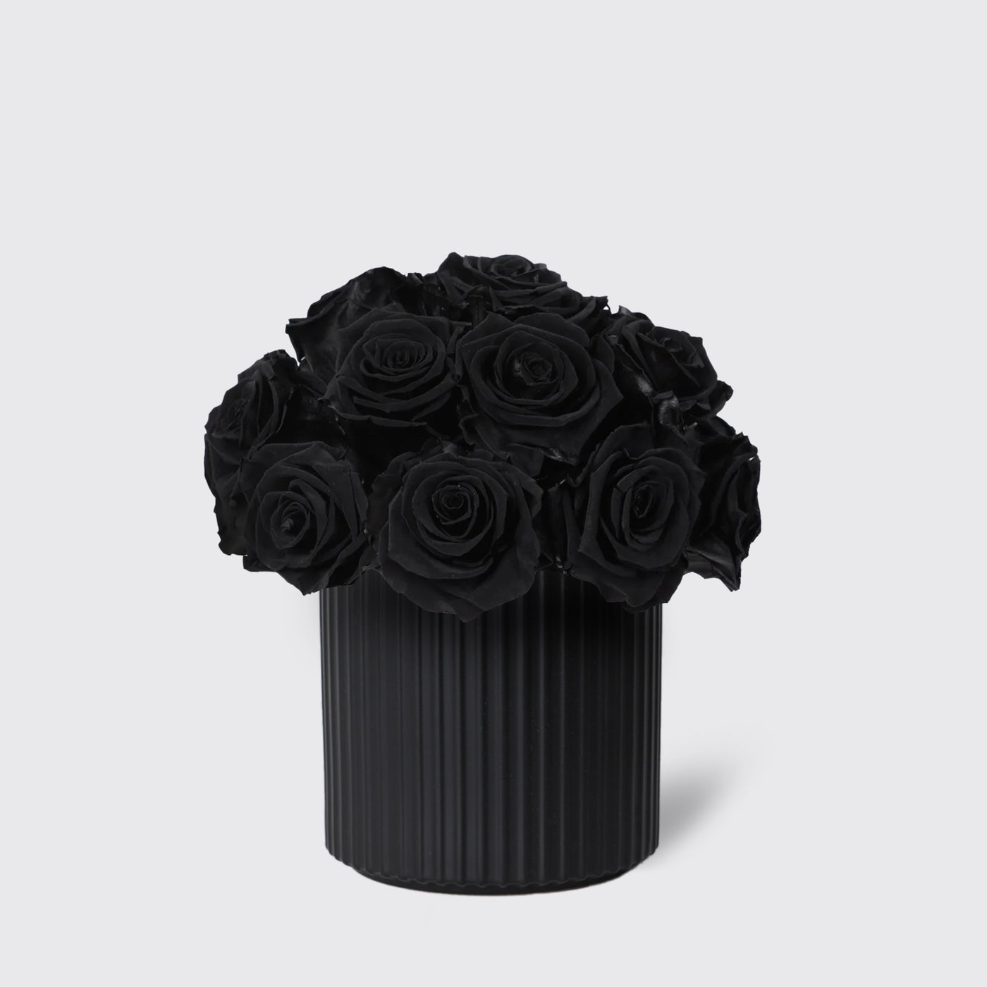 Infinity Black in Vase- Infinity Roses