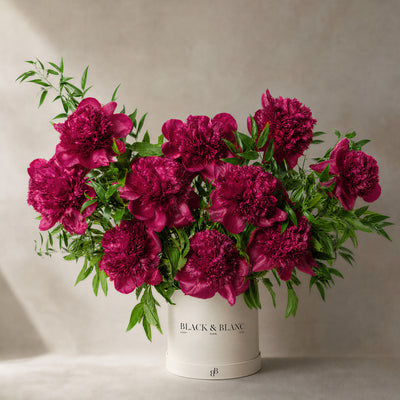 Peonies