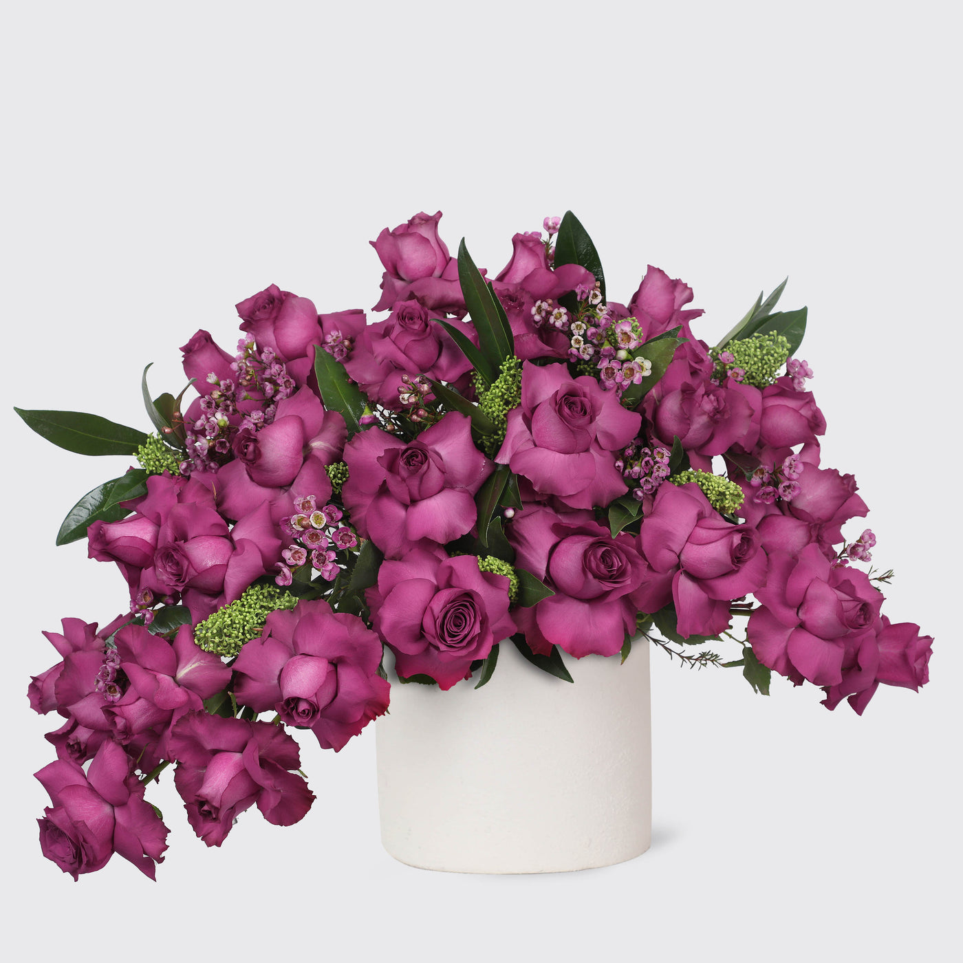 Velvet Plum Pegasus in Vase - Fresh Flowers