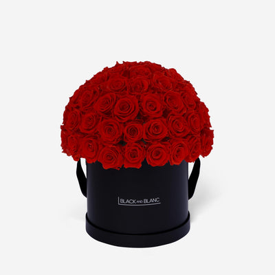 Dôme Classic - Infinity Roses