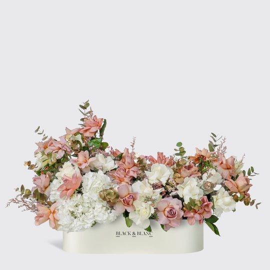 Elegance serein in Half Meter Box - BLACK AND BLANC
