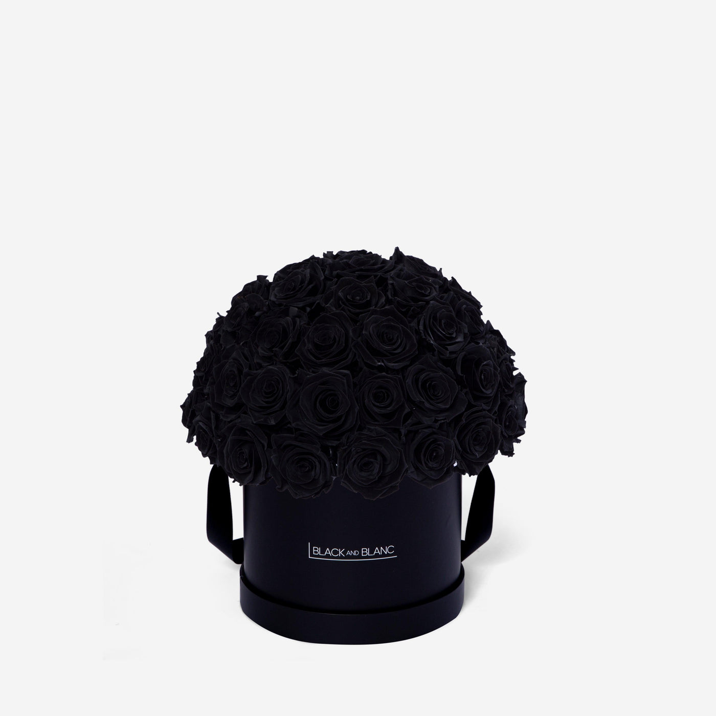 Black Dôme Classic - Infinity Roses - BLACK AND BLANC