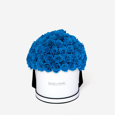 Aqua Blue Dôme Classic - Infinity Roses - BLACK AND BLANC