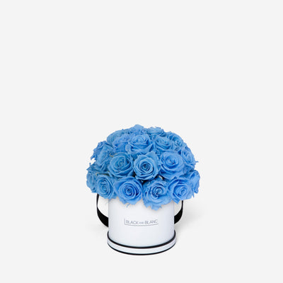 Baby Blue Dôme Classic - Infinity Roses - BLACK AND BLANC