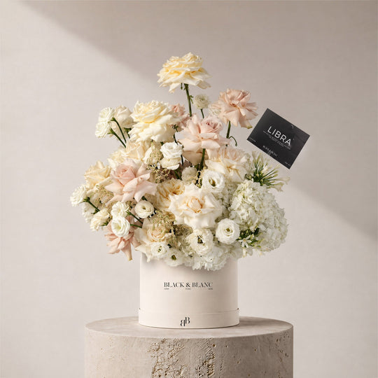 Libra - Serene in Box - BLACK AND BLANC