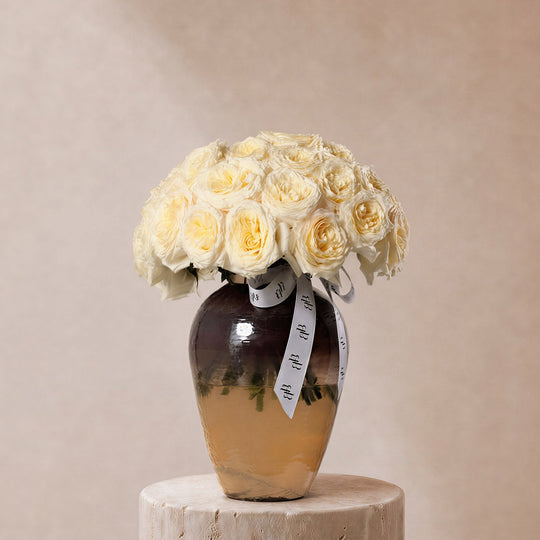 Qamar Cream Garden Roses in Lumiere Vase - BLACK AND BLANC