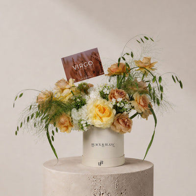 Virgo - The Standing Sheaf in Box
