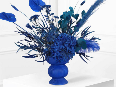 Blue Nova: A French-Inspired Symphony of Color and Elegance