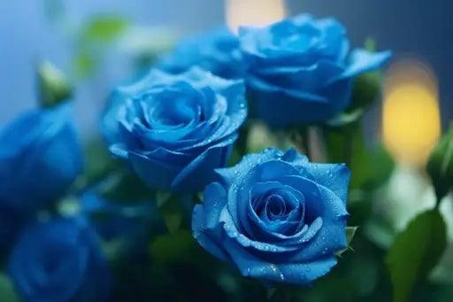 All You Need to Know About Blue Roses - BLACK AND BLANC 