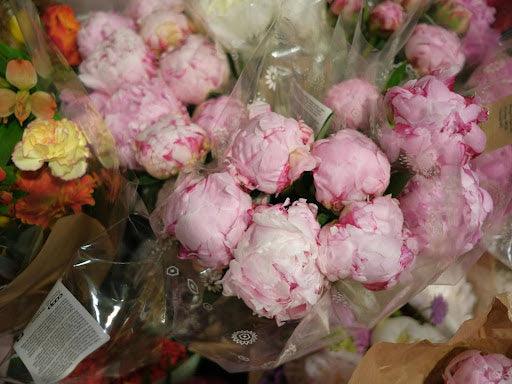 How to Buy Beautiful Flowers in the UAE - BLACK AND BLANC 