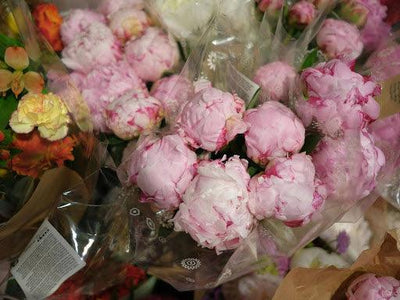 How to Buy Beautiful Flowers in the UAE