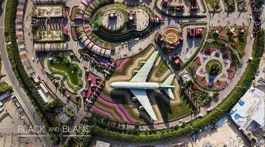 Important Things You Should Know Before Visiting Miracle Garden dubai - BLACK AND BLANC 