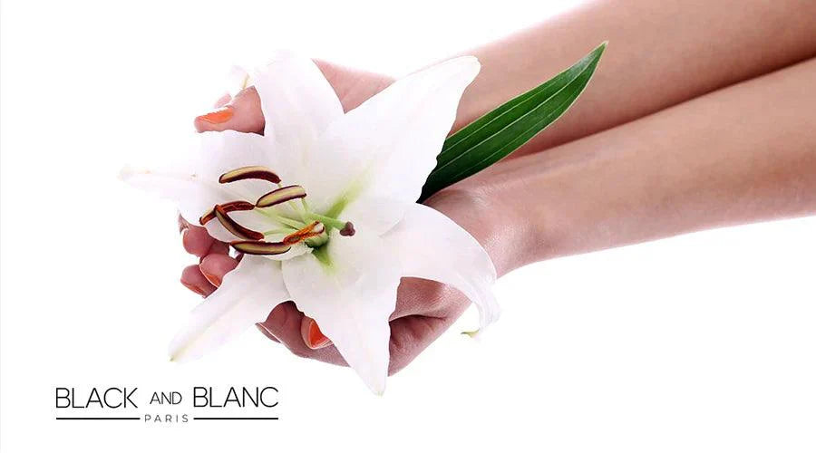 Lily Flower Maintenance Guide - BLACK AND BLANC 