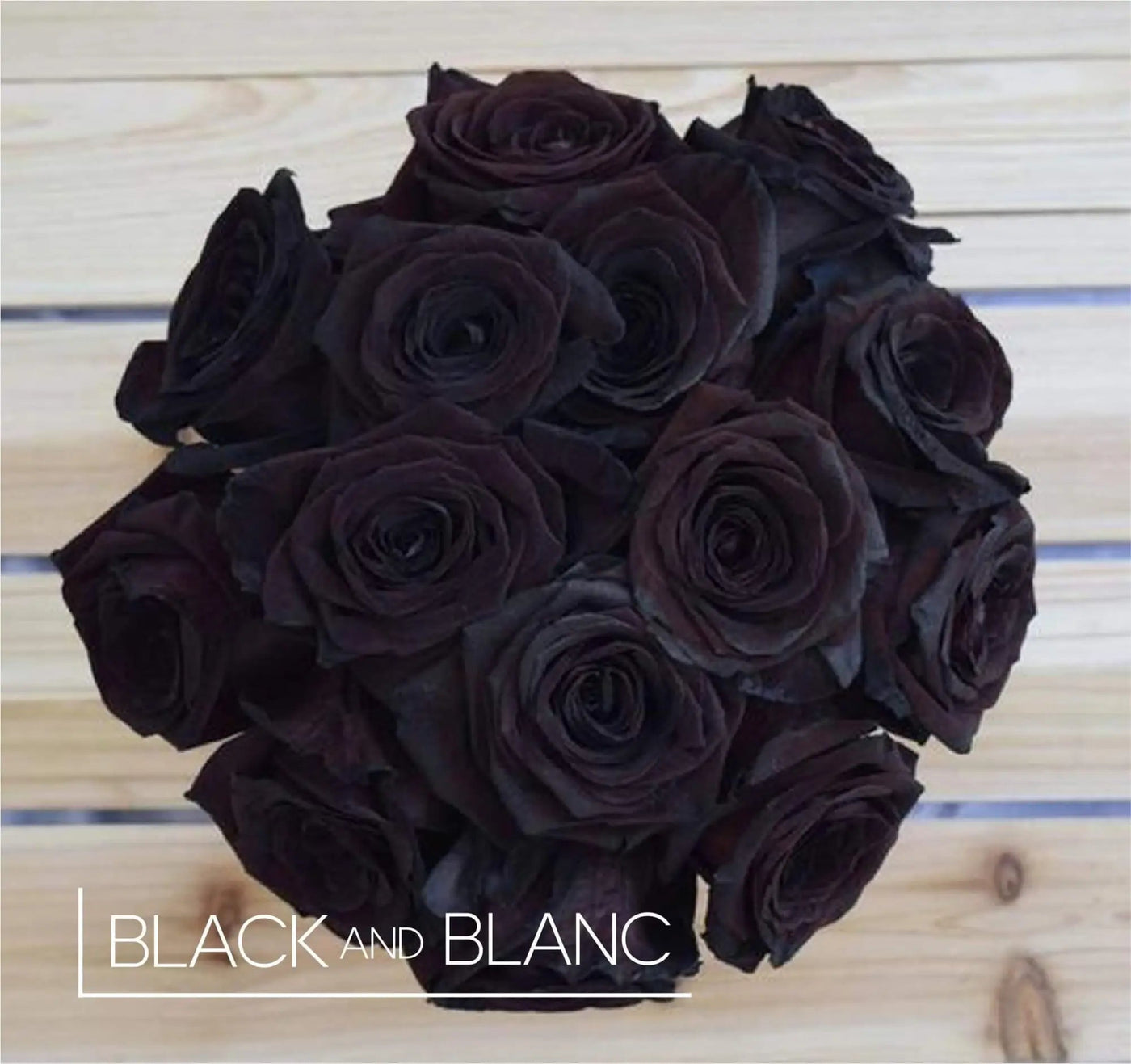 The meaning of unusual colors, in roses. - BLACK AND BLANC 