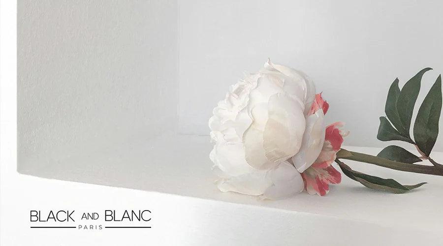 The Peony Flower Meanings and Symbolism - BLACK AND BLANC 