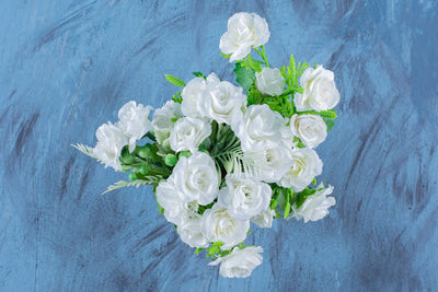 Top 5 Best White Flowers For Every Occasion