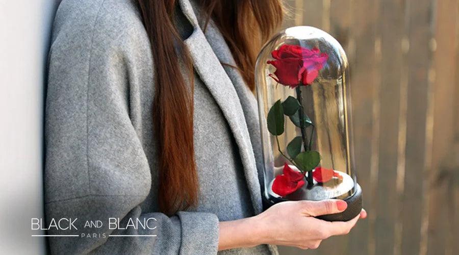 What Does a Forever Rose Symbolize? - BLACK AND BLANC 