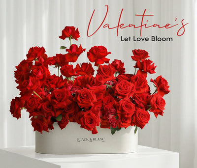 Valentine's Day Collection