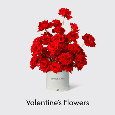 Valentine's Day Collection