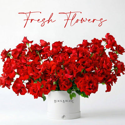 Коллекция свежих цветов