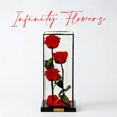 Коллекция бесконечных цветов