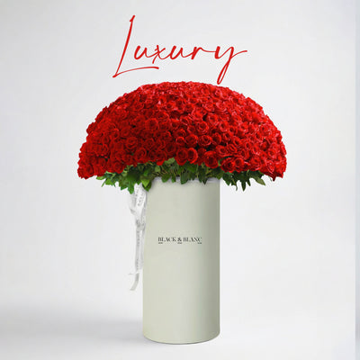 Коллекция класса люкс