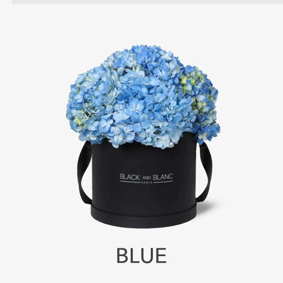 Blue - BLACK AND BLANC 