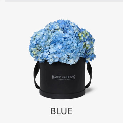 Blue - BLACK AND BLANC 