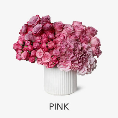 Pink - BLACK AND BLANC 