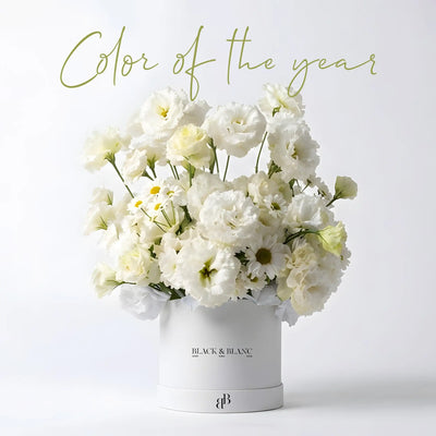 Colour of the Year Collection