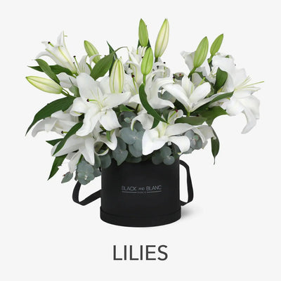 Lilies - BLACK AND BLANC 