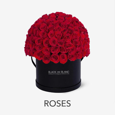 Roses - BLACK AND BLANC 