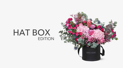 Fresh Hat Box - BLACK AND BLANC 