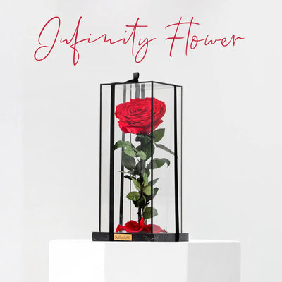 Infinity Flowers Collection
