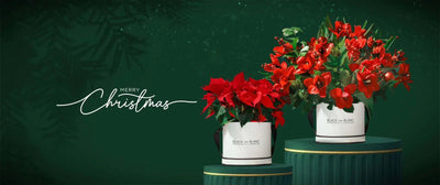 Christmas Collection - BLACK AND BLANC 