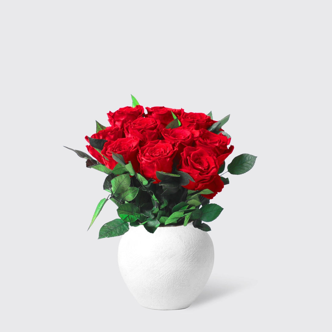10 Red Rose in Vase - Infinity Roses - BLACK AND BLANC