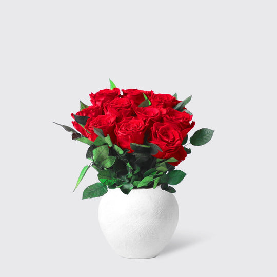 10 Red Rose in Vase - Infinity Roses - BLACK AND BLANC