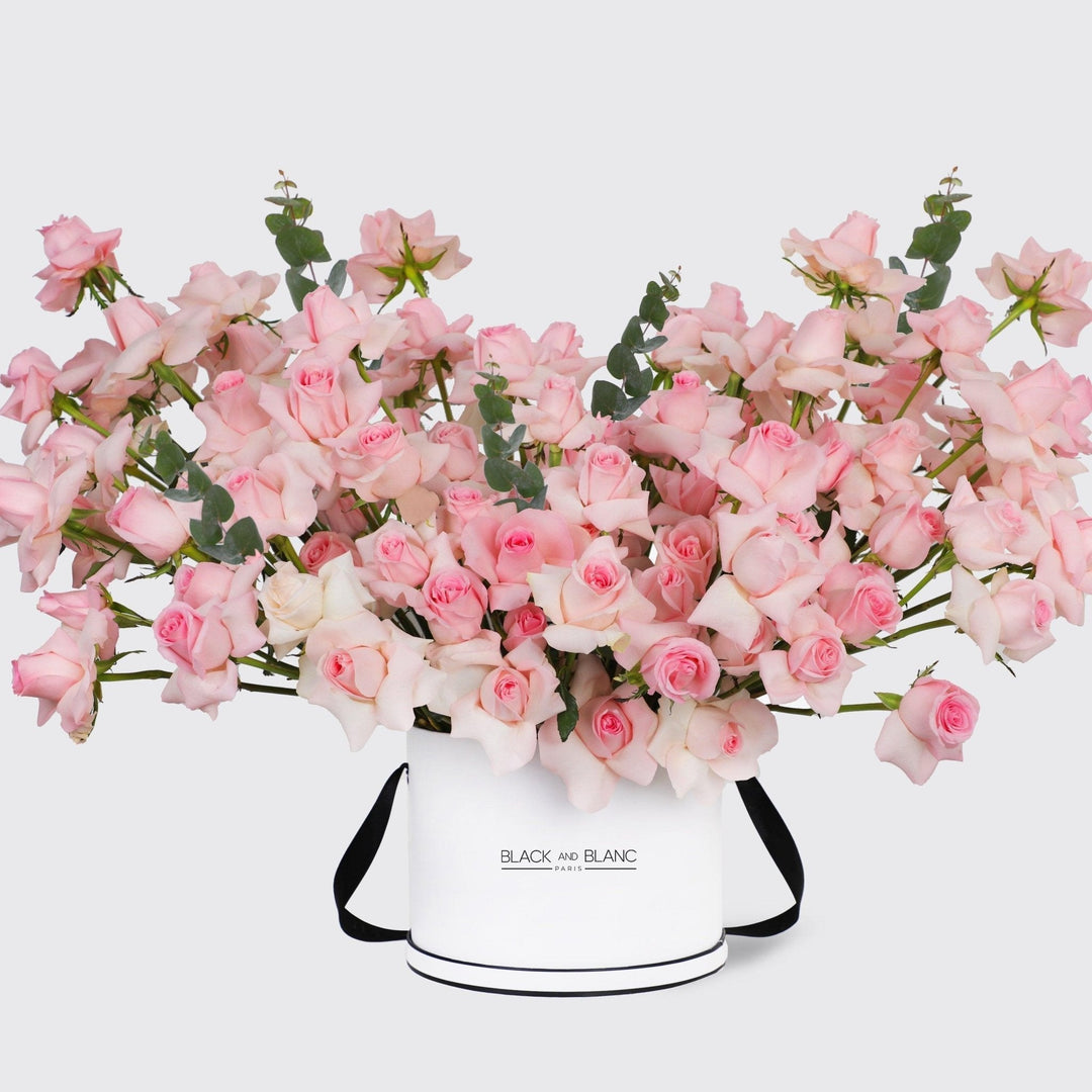 100/101 Pink Roses in Box - BLACK AND BLANC