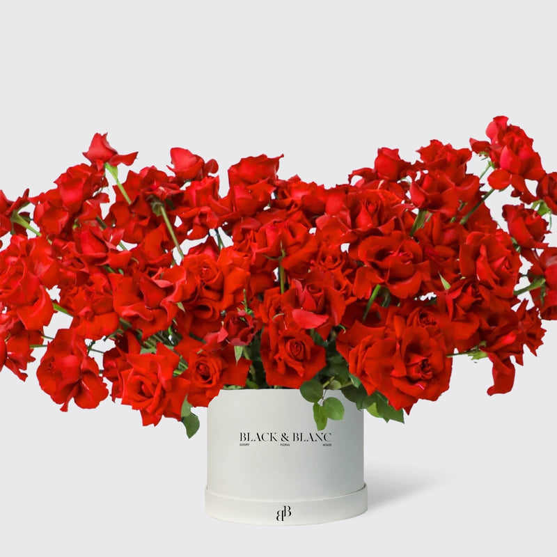 100/101 Red Roses in Box