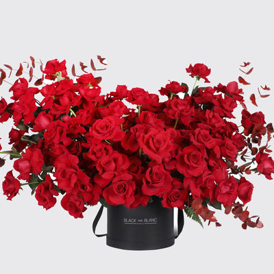 100 Red Roses in Box- Fresh Flowers - Box