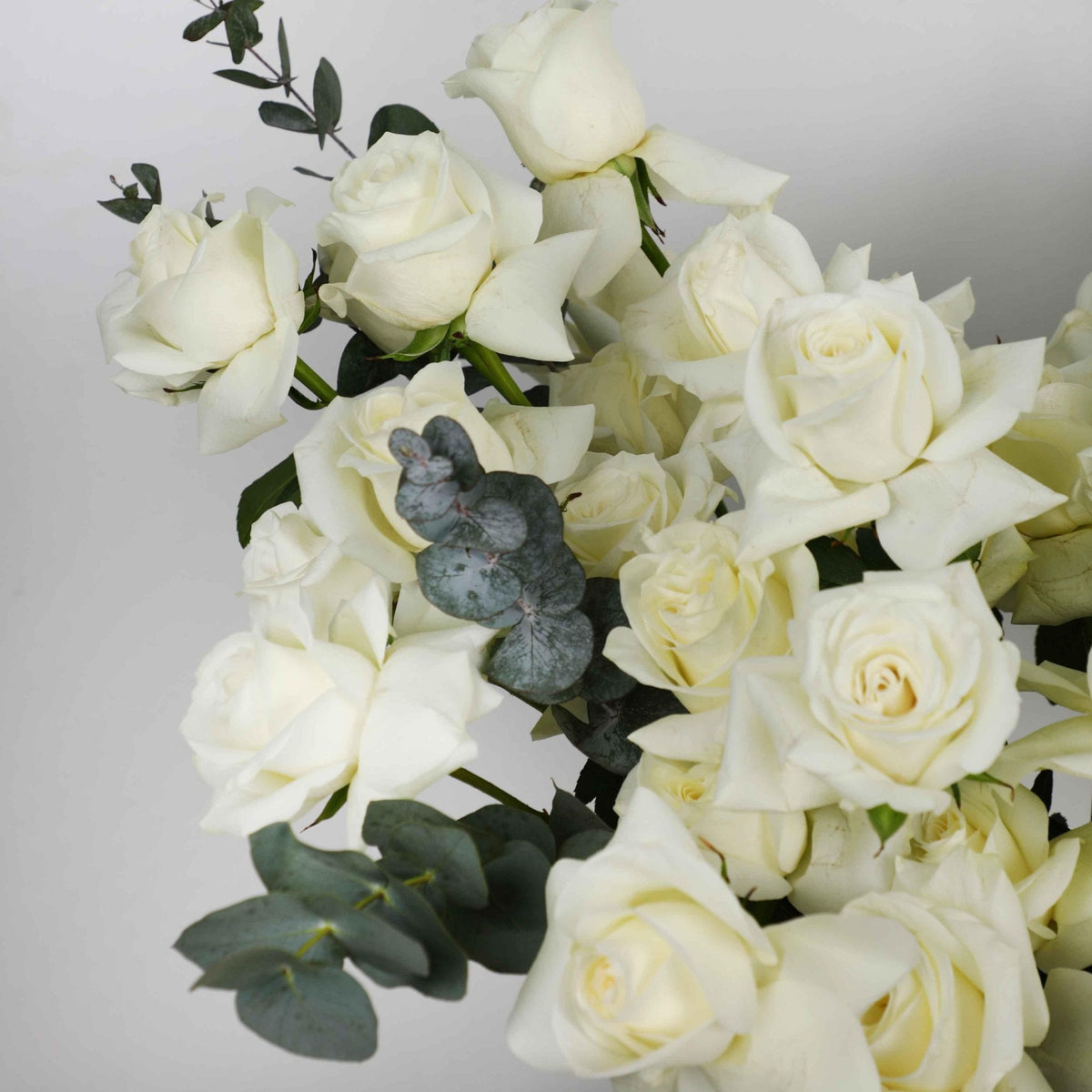 100/101 White Roses in Box - BLACK AND BLANC