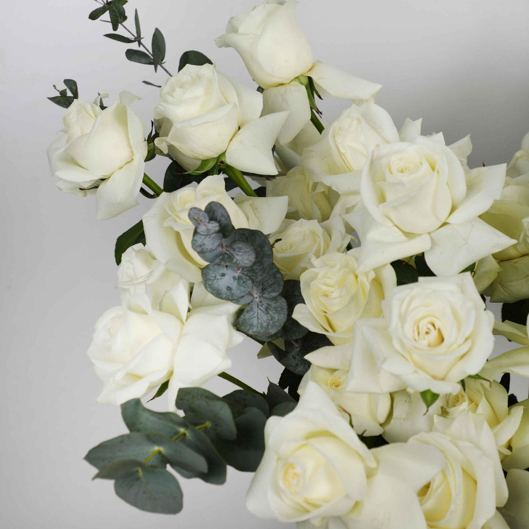 100/101 White Roses in Box - BLACK AND BLANC