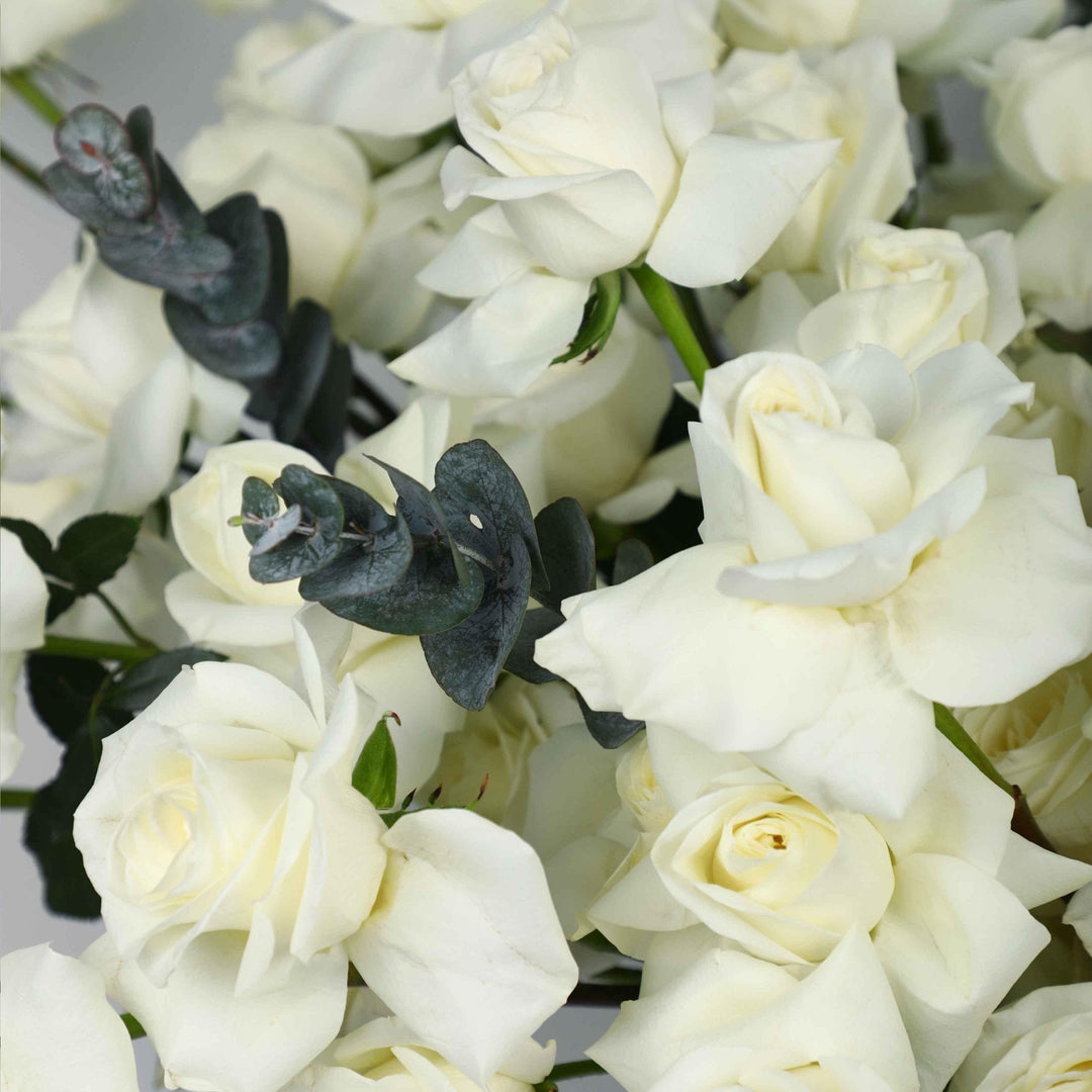 100/101 White Roses in Box - BLACK AND BLANC