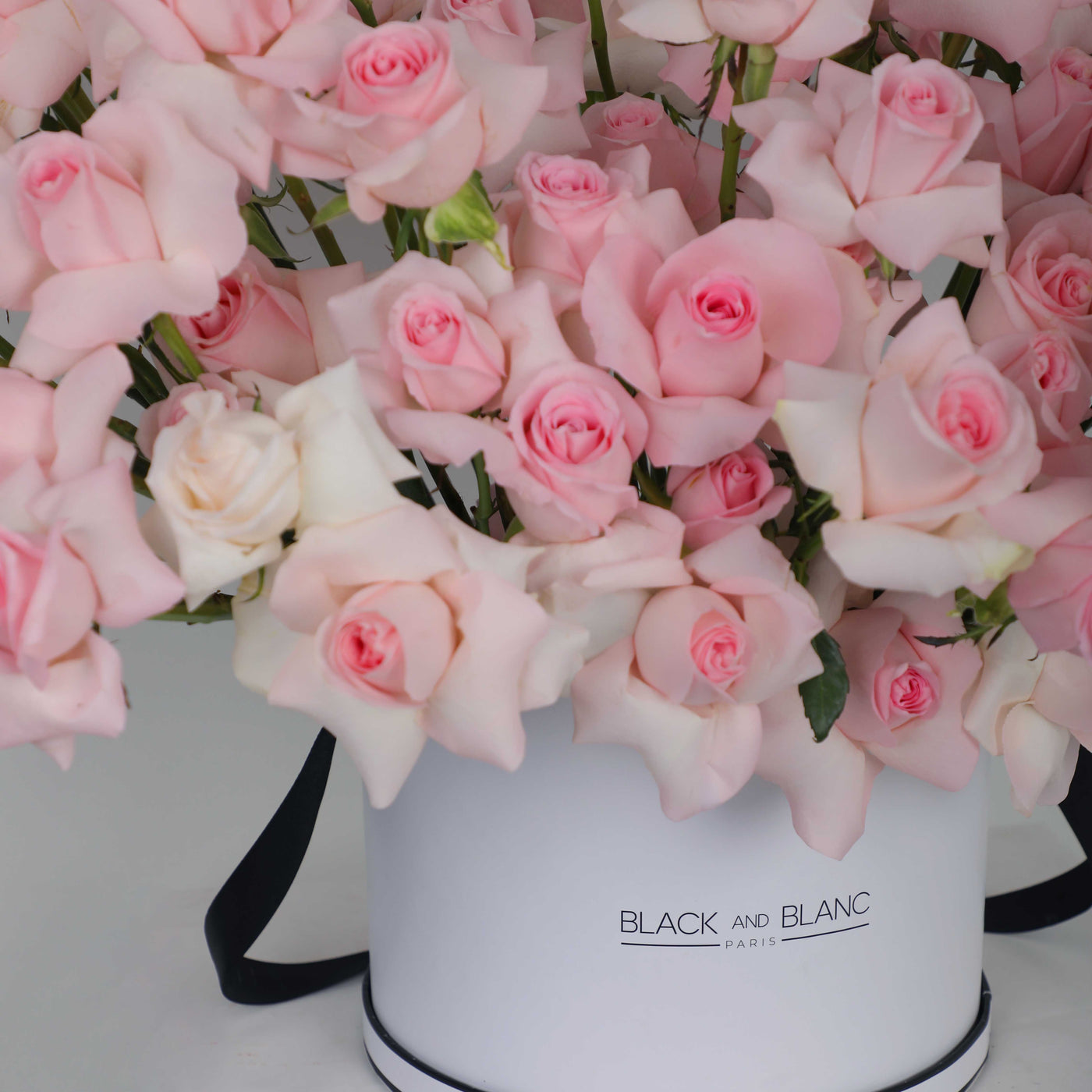 White box with pink roses labeled Black and Blanc in 100 Pink Roses in Box