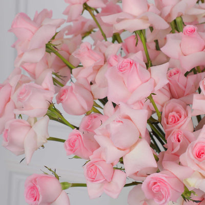 Cluster of delicate pink roses in a box, perfect fresh flowers gift