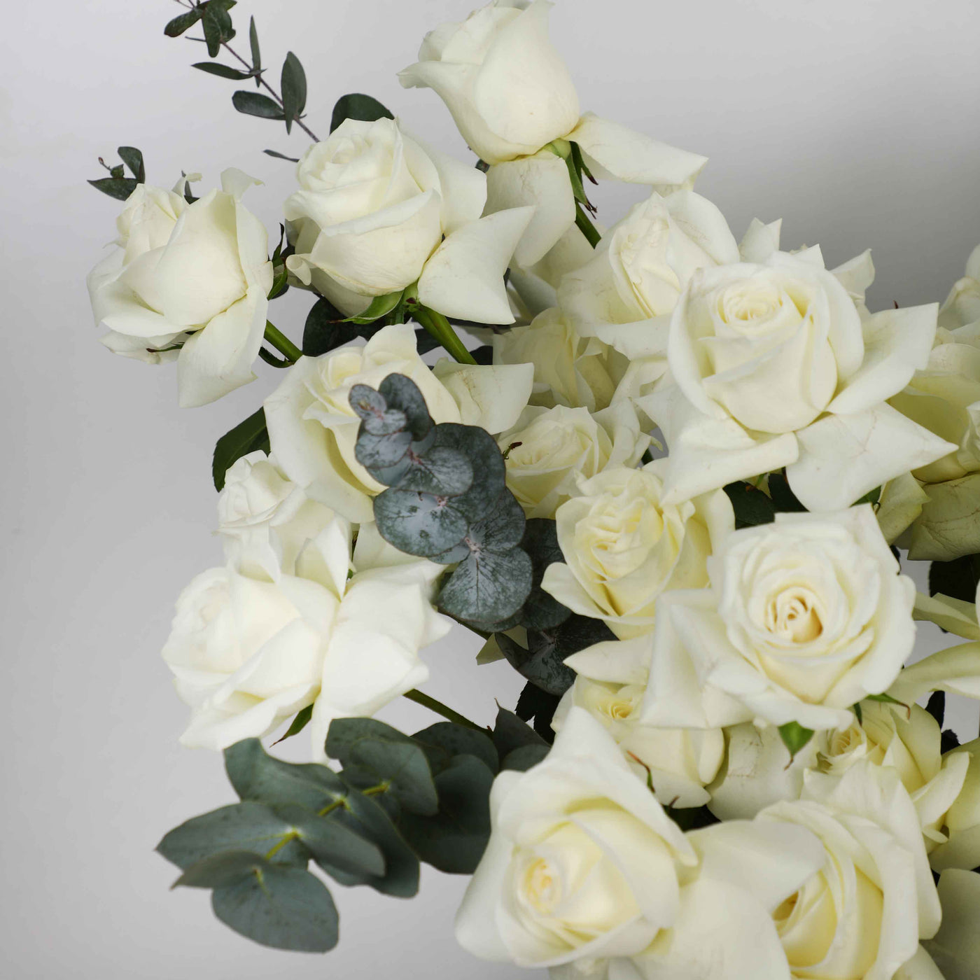 100 White Roses in Box - Fresh Flowers - Box