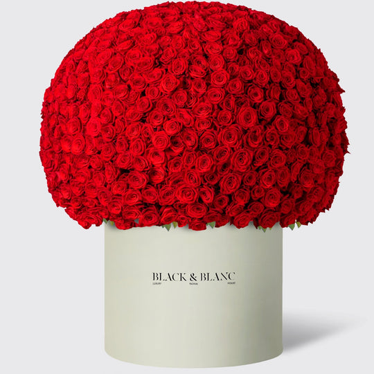 1000 Roses in Opus Box - BLACK AND BLANC