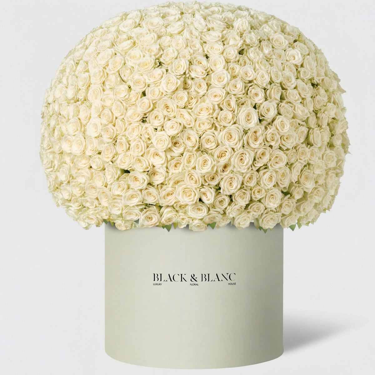 1000 Roses in Opus Box - BLACK AND BLANC