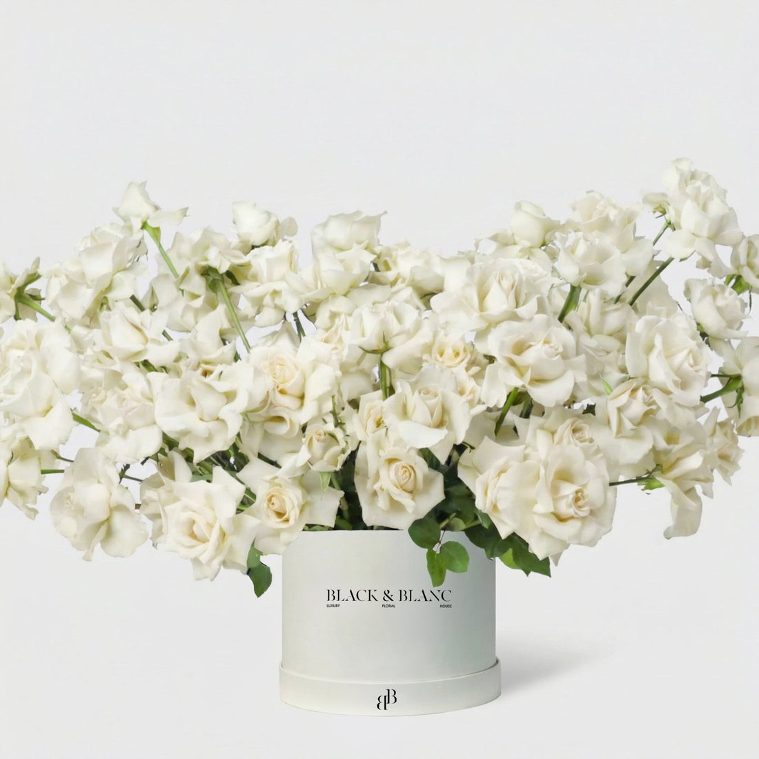 100/101 White Roses in Box - BLACK AND BLANC